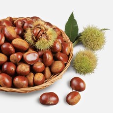 공주 부여 22년 토종햇밤 첫햇밤 2kg 3kg 4kg, 밤 2kg(대사이즈)