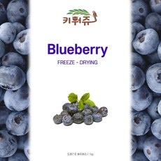 큐브형 동결건조 키위/호박/산딸기 15g, 키위