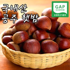 22년 햇 밤 공주 정안밤, 햇 밤 4KG