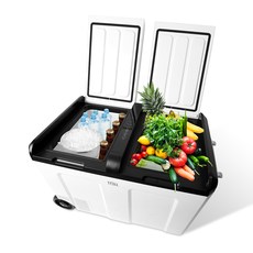 REINA 대용량 캐리어식 차량용 냉장 냉동고 52L, 혼합색상, RL-5252WS