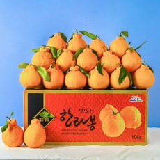 [당도보장] 달콤한 제주 한라봉 2.5kg 5kg 10kg 선물세트 제주도 한라봉 벌크형, 1box, 선물용3kg6-8과