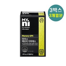 마이니 메모리 지피에스 포스파티딜세린 두뇌 영양제 은행잎추출물 플라보놀배당체 두뇌건강 뇌건강 중년뇌건강 홍삼농축 phosphatydilserine ps pasta 남친선물특집, 3box, 1000mg*60캡슐