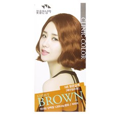 꽃을든남자 크리닉 염색약, N8 밝은갈색, 1개