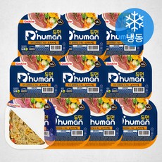 듀먼 강아지 오리안심 & 채소 오리지널 화식 용기형 10팩 (냉동), 오리, 50g