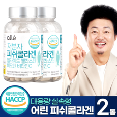 알레 저분자 어린 피쉬 콜라겐 펩타이드 엘라스틴 비오틴 비타민C 180정, 2통