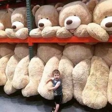 코스트코 곰인형 초대형 곰인형 1m-3.4m, 연갈색곰 + 1미터 박스 포장cm