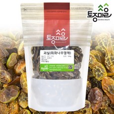 [토종마을]국산 괴실(회화나무열매) 300g, 단품