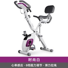 미니 실내 자전거 사이클 스피닝 싸이클 바이크 앉아서타는 실내용 헬스장 운동 좌식 추천, 패션 화이트