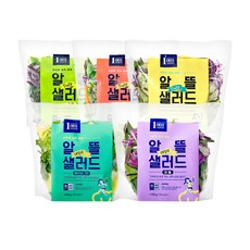 [1am] 알뜰 데일리 세척 야채 샐러드 5종 혼합구성, 5팩