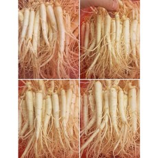 금산인삼 세척인삼 소삼계 350g 금산수삼 5년근