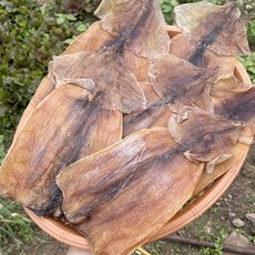 몸통만 마른오징어 5마리/10마리/20마리 선택1, 5마리