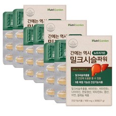 간에는 역시 밀크시슬 파워 실리마린효능 간기능개선제 피곤할때 직장인 영양제 3박스 3개월