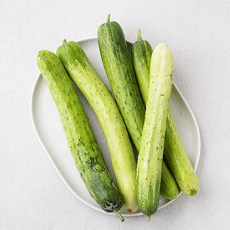 못생겨도 맛있는 백오이 5입 1봉