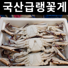 [어부언니] 국산 냉동 암 꽃게 숫 서해안 제철 산지직송 게장용 급냉 알배기 당일발송, 급냉 암꽃게(3~4미)1kg