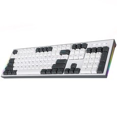 COX 이색사출 사이드 RGB 기계식 키보드 적축, CK01PBT, 그레이 + 화이트