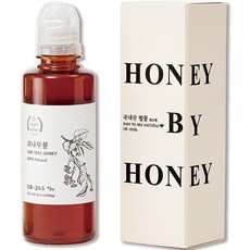 허니바이허니 피나무 튜브 벌꿀, 380g, 1개