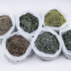 백송식품 국산 염장 미역 줄기 곰피미역 꼬시래기 해초무침 다시마, 1개, 07) 염장다시마 2KG