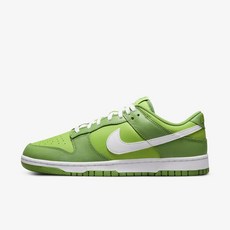 나이키 덩크 로우 레트로 비비드 그린 Nike Dunk Low Retro Vivid Green