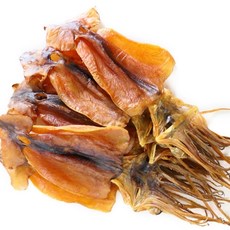 (5마리 특가판매) 남해안 배오징어 각 중량별 5마리(무료배송), 5마리(150g내외)SS