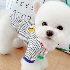 베이비도그 멀티줄가라티 DT038, 화이트