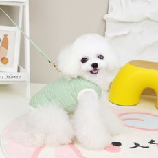 펫먼트 강아지 가을 겨울 하네스 패딩조끼, 민트