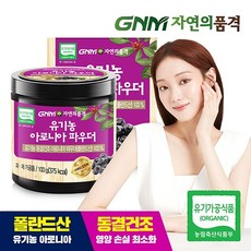 GNM자연의품격 유기농 아로니아 파우더, 100g, 1개