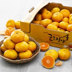 농협 타이벡감귤, 2.5kg, 1박스
