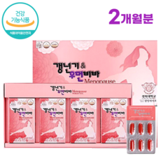 여성 갱년기 영양제 회화나무추출물 120캡슐 2개월분 우먼비바 감마리놀렌산 엄마 영양제 선물 알약케이스 포함