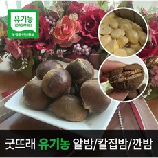 2022 부여 햇밤 생밤 옥광밤 알밤 유기농 밤 대 - 1kg, 밤