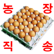 [묵동농장]무항생제 HACCP인증 바른계란 특란 60구