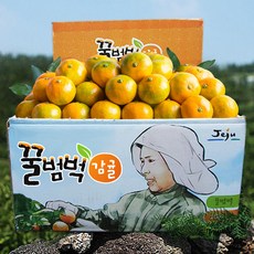 [제주 직송] 꿀범벅 제철 고당도 타이벡 감귤, 4.5kg 중과(L or 2L)