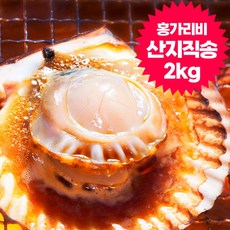 제철 통영 가리비 알이 통통한 홍가리비, 홍가리비2kg(50미내외)