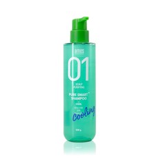 아모스 프로페셔널 01 퓨어 스마트 쿨 샴푸 500g 아모스쿨샴푸 두피정화 시원함 박하추출물함유 아모스정품 행사, 1개, 500ml