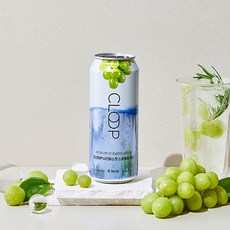 CLOOP 클룹 샤인머스캣향 스파클링 캔 워터 500ml 6캔+6캔, 총 12캔