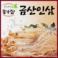 금산인삼 무료세척 세척인삼500g 세척인삼난발삼 세척인삼원수삼500g, 1팩, 무료세척 세척인삼난발삼500g(20~25뿌리)