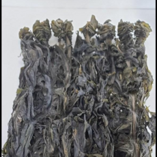 섬마을진도 동거차도 산모용 귀달린 돌미역 (길이1m), 1가닥 500g