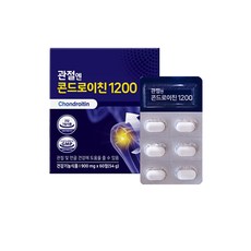 관절엔 콘드로이친 1200 x 60정(1개월)