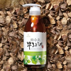 하늘호수 한방 하수오 뿌리채 쿨샴푸, 1개, 500ml