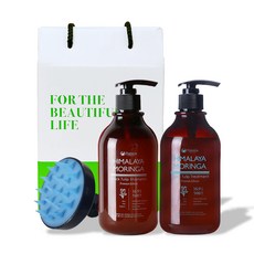 포고니아 모링가 블랙튤립 샴푸 500ml + 트리트먼트 500ml + 두피 폼 브러쉬 헤어 선물 세트, 1세트