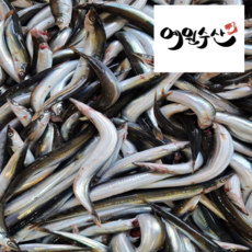 당일 조업 제철 속초양미리 생물 도루묵 10미 양미리 1KG (약 30미내외) 반건조양미리 (40미), 반건조 양미리 20미