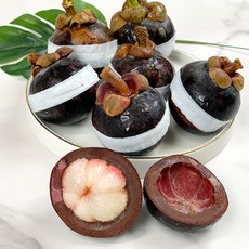 짱구샵 냉동 망고스틴 500g 냉동과일 열대과일 뷔페과일, 7~9과, 드라이아이스추가