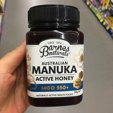 Barnes Naturals Manuka Honey 반스 네츄럴 호주 마누카 꿀 500g MGO 550+, 1개