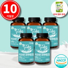 락토페린 장용성 300mg 복부지방 다이어트 뱃살 식약청인증 스키니랩, 락토페린 프리미엄 정(10개월)