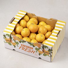 블랙홀 제주 청년 농부 감귤 로열과, 3kg(S~M), 1개
