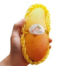 태국망고 마하차녹 무지개 레인보우 애플 망고 2.5kg 5kg, 골드망고 2.5kg