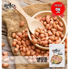 맛봉달 햇 22년산 생땅콩 알큰사이즈 알땅콩 국내산, 1개, 500g