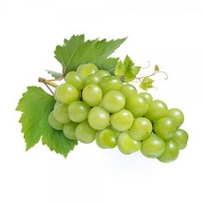 영동 학산 송이꿀 샤인머스켓 망고 포도 1kg 3송이내, 단품
