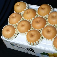 [농부마음] 정품 나주 원황 배 3kg 5kg 7.5kg 15kg 명절 과일 선물세트 & 가정용 햇배, 1box, 가정용 7.5kg 13-15과