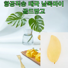 항공직송 프리미엄 태국 남독마이 골드망고 1.8kg 5kg 골드 망고 골드 무지개 망고 태국 망고 선물세트