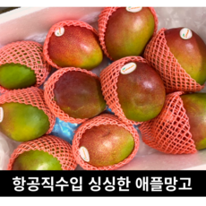브라질 고당도 애플망고 2kg 4kg 항공직수입 달콤한 브라질망고 그린애플망고 홍망고 가정용 선물용 애플 망고 프리미엄 초고당도 고당도 고 당도 무지개망고 무지개, 브라질 2KG(4-5과)